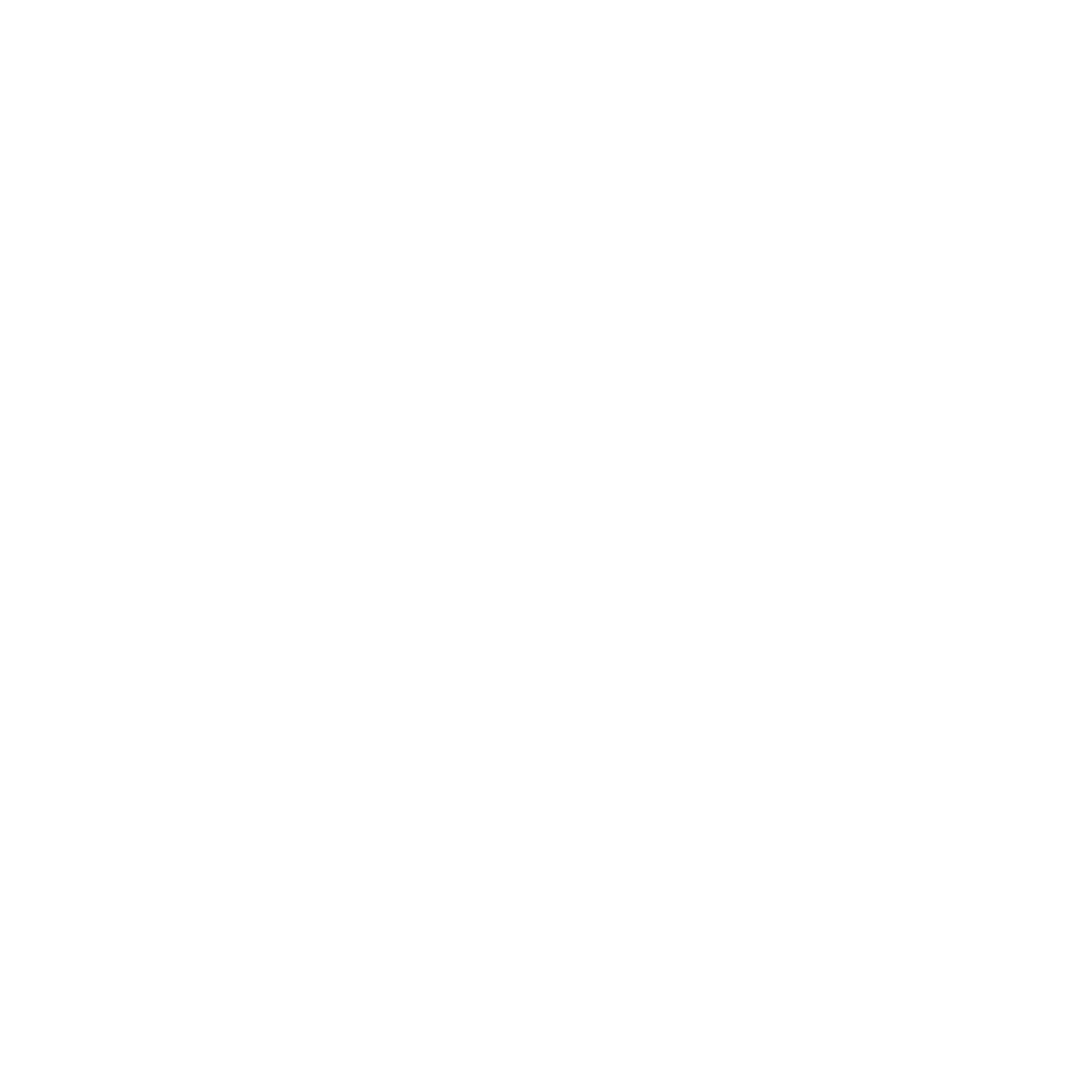 TikTok Logo
